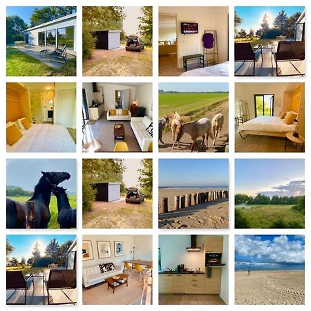 Natuurhuis Zeeuwse Rust Voor Wandelingen Aan Zee, Fietstochten In Natuur En Culinair Genieten Villa IJzendijke Bagian luar foto