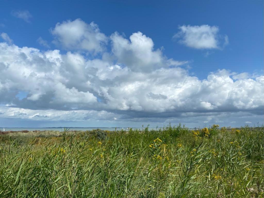 Natuurhuis Zeeuwse Rust Voor Wandelingen Aan Zee, Fietstochten In Natuur En Culinair Genieten Villa IJzendijke Bagian luar foto