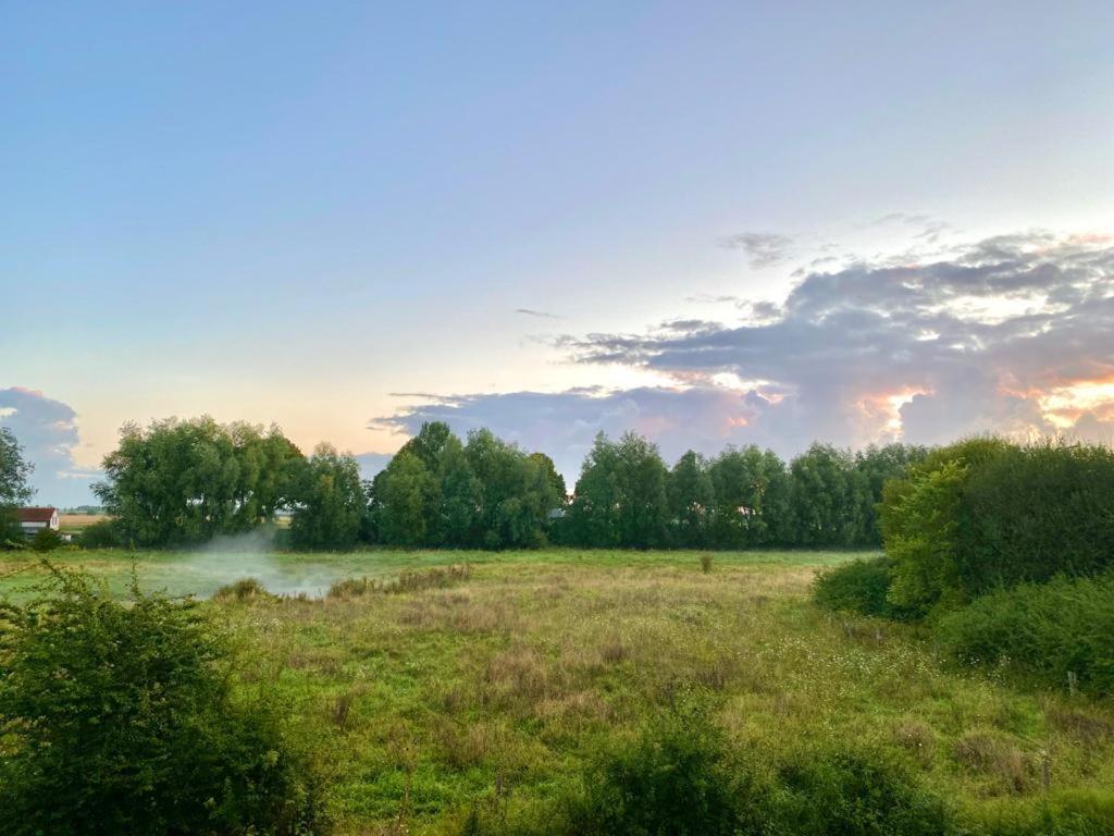 Natuurhuis Zeeuwse Rust Voor Wandelingen Aan Zee, Fietstochten In Natuur En Culinair Genieten Villa IJzendijke Bagian luar foto