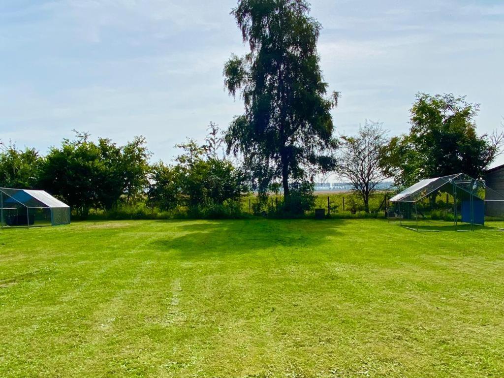 Natuurhuis Zeeuwse Rust Voor Wandelingen Aan Zee, Fietstochten In Natuur En Culinair Genieten Villa IJzendijke Bagian luar foto