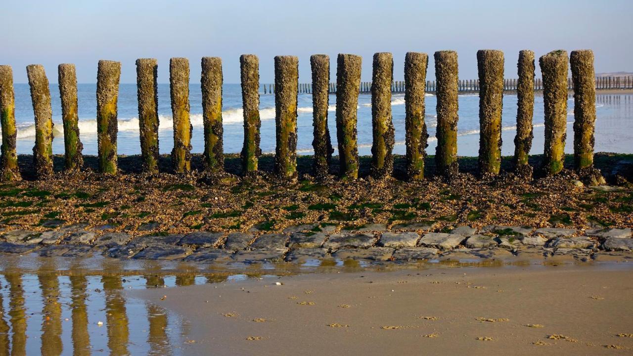 Natuurhuis Zeeuwse Rust Voor Wandelingen Aan Zee, Fietstochten In Natuur En Culinair Genieten Villa IJzendijke Bagian luar foto